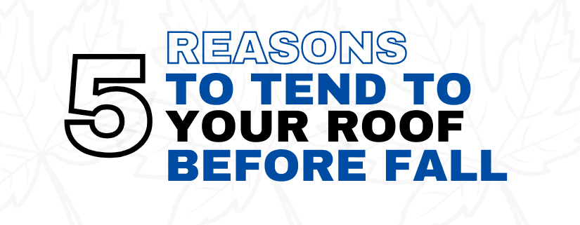 Reasons to Tend to your Roof Before Fall | Commercial Roof Maintenance