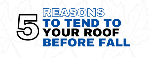 Reasons to Tend to your Roof Before Fall | Commercial Roof Maintenance